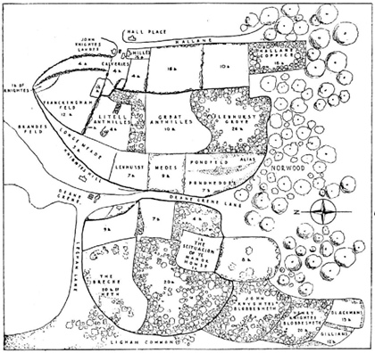 Map of Levehurst Manor (West Norwood), 1563