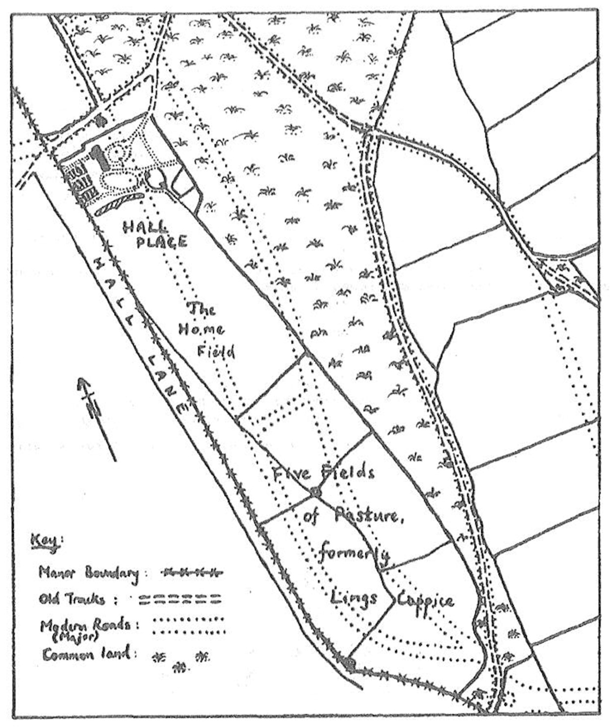 Plan of Hall Place estate c.1806.  The dotted lines indicate the modern roads in the same area.  South Croxted Road now runs through ‘the Home Field’; Alleyn Road, joined by Church Approach, is to the right.  Further to the right, Alleyn Park and Bowen Drive mostly follow the line of the old tracks.  Park Hall Road is in the top left-hand corner (i.e. across the corner).